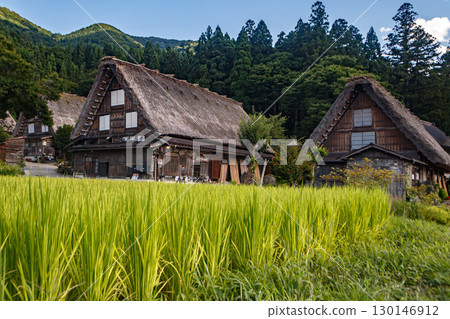 仲夏白川鄉 仲夏白川鄉 130146912