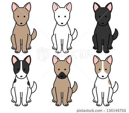 各種顏色和圖案的狗、救援犬和混種狗 各種顏色和圖案的狗、救援犬和混種狗 130148708