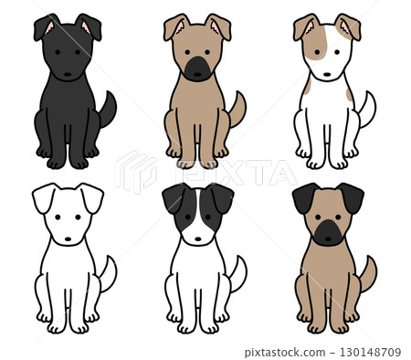 各種顏色和圖案的狗、救援犬和混種狗 各種顏色和圖案的狗、救援犬和混種狗 130148709