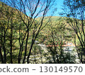 A red bridge visible through the trees growing on the mountain slope 130149570