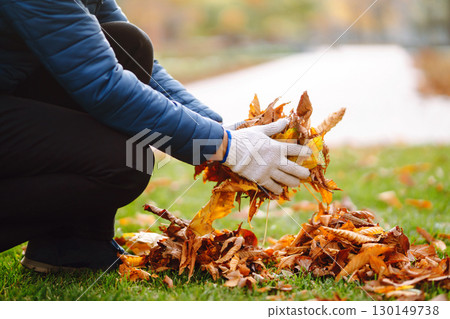 Harvesting autumn leaves. Man cleans the autumn park from yellow leaves. Volunteering, cleaning. 130149738