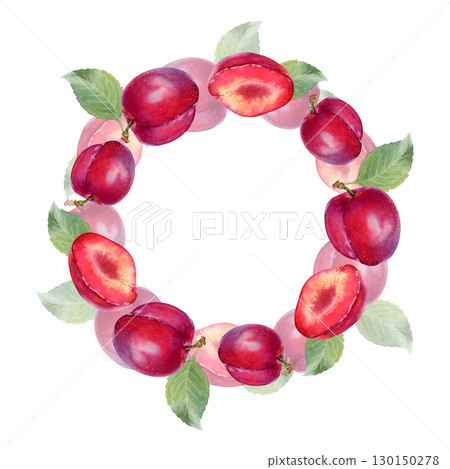 Watercolor plum wreath is hand drawn and consists of a plum, half a plum, leaves. Isolated on a white background. Suitable for food design and printing. Watercolor plum wreath is hand drawn and consists of a plum, half a plum, leaves. Isolated on a white background. Suitable for food design and printing. 130150278