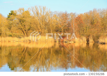 Spring Landscape at the Lake with Reflections Spring Landscape at the Lake with Reflections 130150286