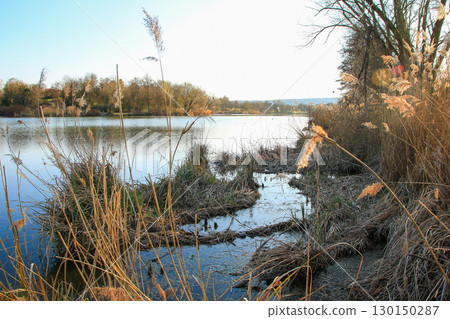 Spring Landscape at the Lake with Reflections 130150287