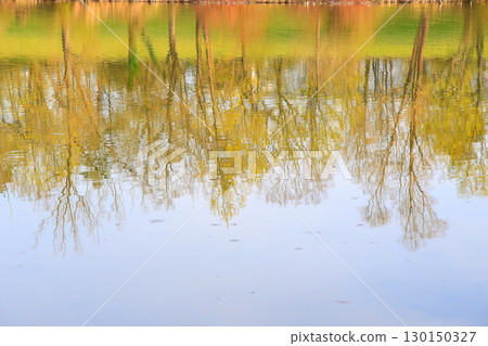 Spring Landscape at the Lake with Reflections 130150327