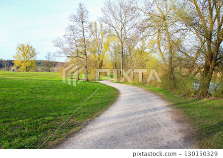 Spring Vegetation in the Park with Grass and Trees 130150329