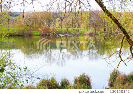 Spring Landscape at the Lake with Reflections 130150341