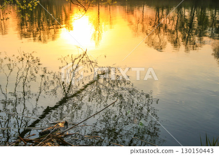 Spring Landscape at the Lake with Reflections 130150443