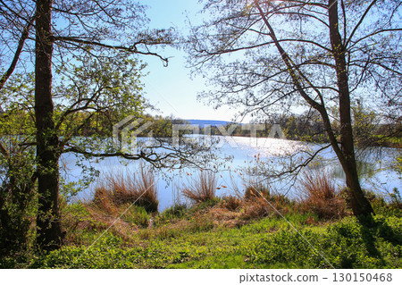 Spring Landscape at the Lake with Reflections Spring Landscape at the Lake with Reflections 130150468