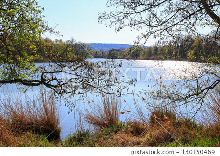Spring Landscape at the Lake with Reflections Spring Landscape at the Lake with Reflections 130150469