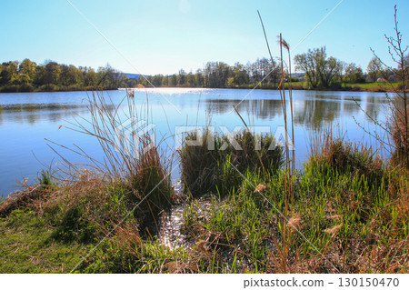Spring Landscape at the Lake with Reflections Spring Landscape at the Lake with Reflections 130150470