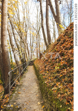 Beautiful Autumn Landscape with Trees and Colorful Leaves Beautiful Autumn Landscape with Trees and Colorful Leaves 130151289