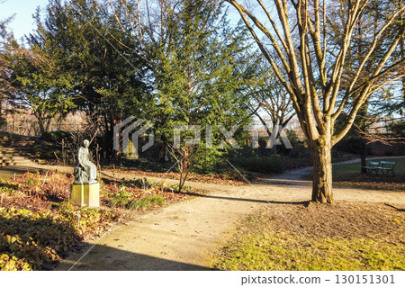 Beautiful Autumn Landscape with Trees and Colorful Leaves 130151301