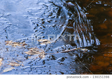 Frozen Leaves and Vegetation on Lake Surface Close Up 130151398