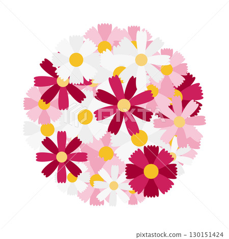 一束盛開的波斯菊花的插圖 一束盛開的波斯菊花的插圖 130151424