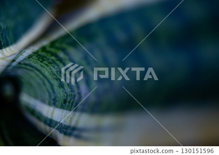 Abstract natural background of natural teal plants. Perfecrt organic option for marketing projects Abstract natural background of natural teal plants. Perfecrt organic option for marketing projects 130151596