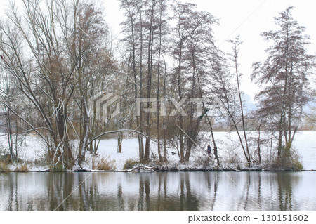 People Walking Their Dog in Wintertime Snowy Landscape People Walking Their Dog in Wintertime Snowy Landscape 130151602