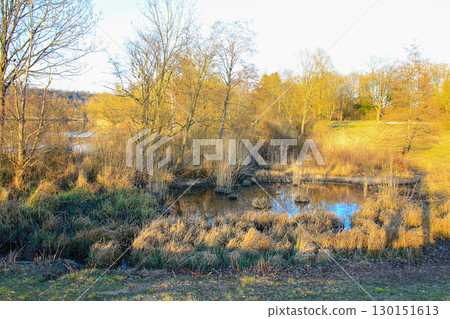 Autumn Landscape Featuring Maze Surrounded by Golden Dry Seasonal Vegetation 130151613