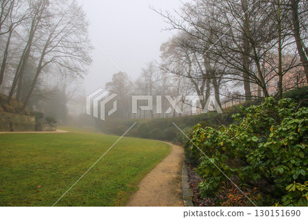 Foggy Autumn Trees in the Park 130151690