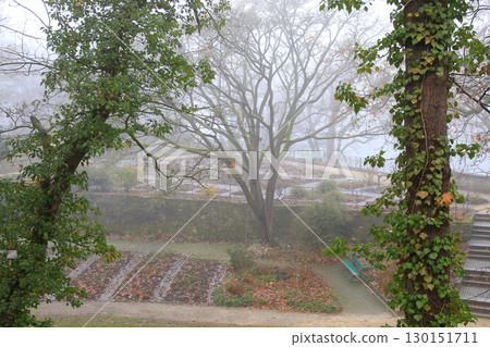 Foggy Autumn Trees in the Park Foggy Autumn Trees in the Park 130151711