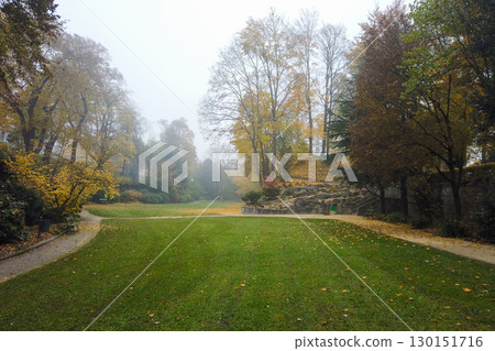 Vibrant Autumn Park Landscape with Trees and Grass 130151716