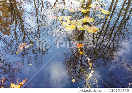 Autumn Trees and Blue Sky Reflected on Lake Autumn Trees and Blue Sky Reflected on Lake 130151759