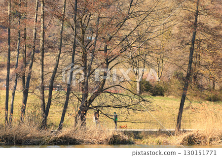 Peaceful Autumn Lake Surrounded By Vibrant Colorful Trees 130151771