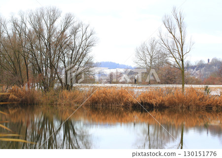 People Walking Through Snowy Forest by Lake 130151776