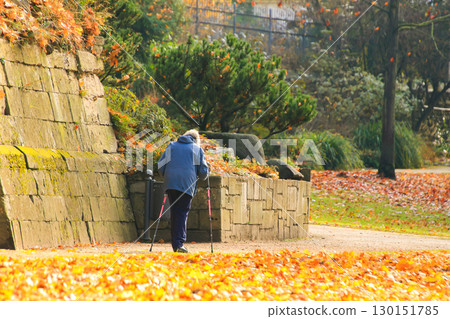 Elderly Woman Walking with Canes in Autumn Park 130151785