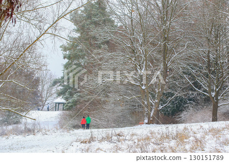 People Walking Through Snowy Forest by Lake People Walking Through Snowy Forest by Lake 130151789