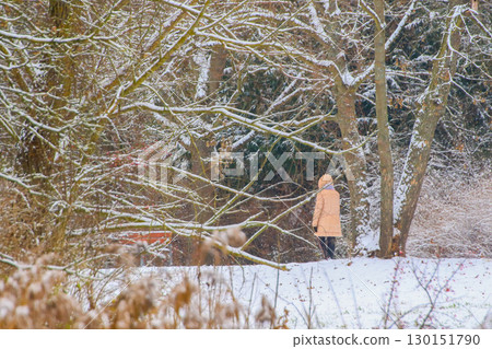 People Walking Through Snowy Forest by Lake People Walking Through Snowy Forest by Lake 130151790