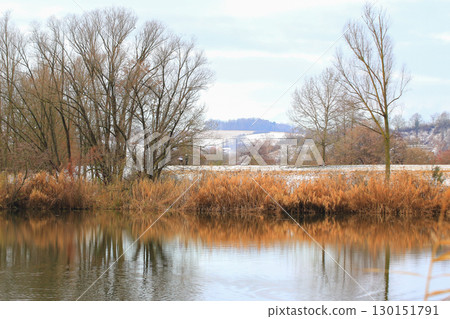 People Walking Through Snowy Forest by Lake People Walking Through Snowy Forest by Lake 130151791