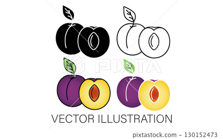 Damson Plum Vector Illustration Set: Color, Line Art, Flat, and Coloring 130152473