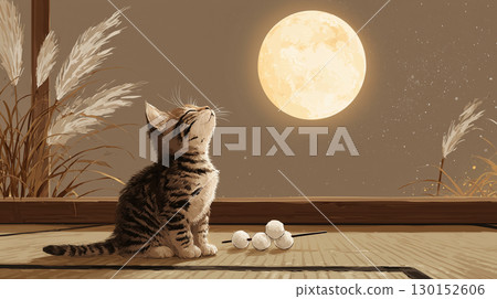 Kitten watching the moon 130152606