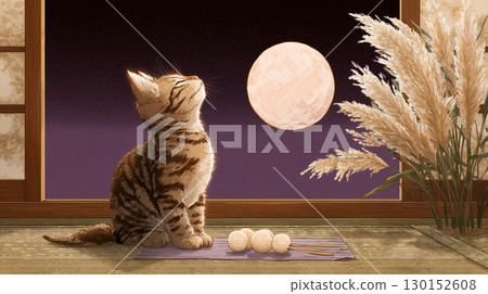 Kitten watching the moon 130152608