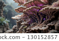 An enchanting macro shot of glowing fungi. 130152857