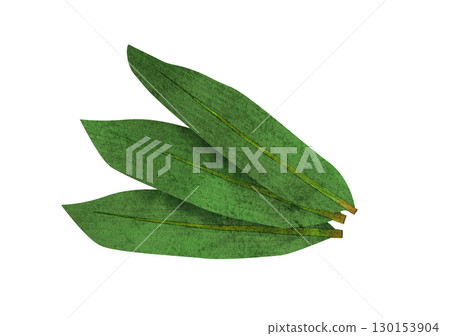 Watercolor illustration of three bamboo leaves Watercolor illustration of three bamboo leaves 130153904