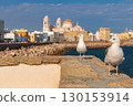 Cadiz Cathedral and Waterfront View in Cadiz Spain 130153914