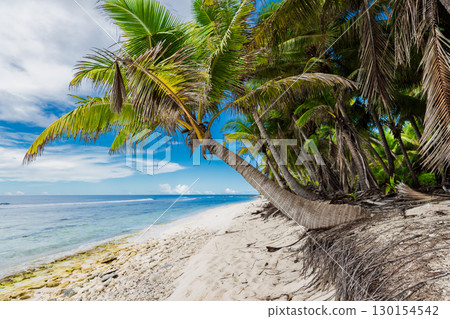 Tropical beach with leaning palm tree, white sand and turquoise ocean under blue sky Tropical beach with leaning palm tree, white sand and turquoise ocean under blue sky 130154542