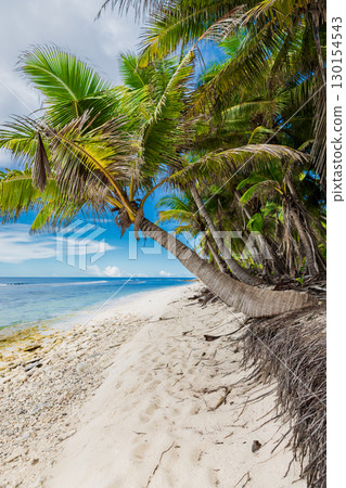 Tropical paradise beach with palm tree, white sand and sea under blue sky 130154543