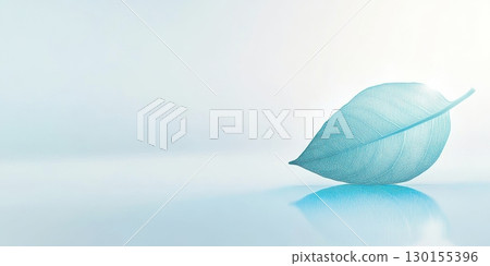 Single Blue Leaf Minimalist Nature Design Background Image sky calm soft aqua cyan teal plant water 130155396