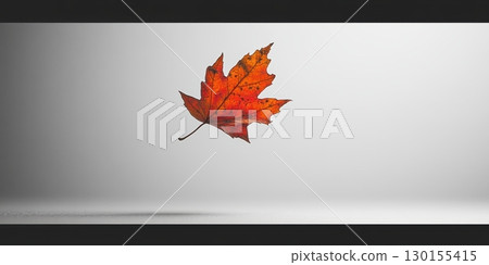 Single Red Autumn Maple Leaf Floating White Background Minimalist Photography Nature Image dry fall Single Red Autumn Maple Leaf Floating White Background Minimalist Photography Nature Image dry fall 130155415