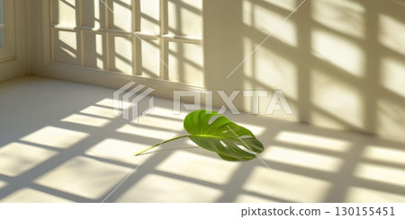 Serene Minimalist Monstera Leaf Sunlight Shadow White Room Interior Design Art Home Calm Soft Life 130155451