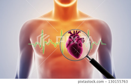 Human torso with magnified heart and ECG line for cardiac health examination 130155763