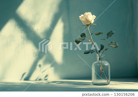 Soft Pink Roses in Glass Vase with Gentle Natural Lighting 130156206
