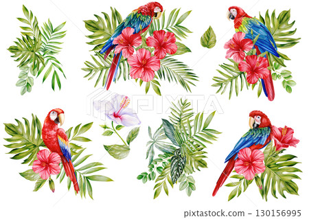 Collection Birds, tropical bird. Parrot, flowers and leaf in isolated background. Watercolor illustration hand drawing Collection Birds, tropical bird. Parrot, flowers and leaf in isolated background. Watercolor illustration hand drawing 130156995