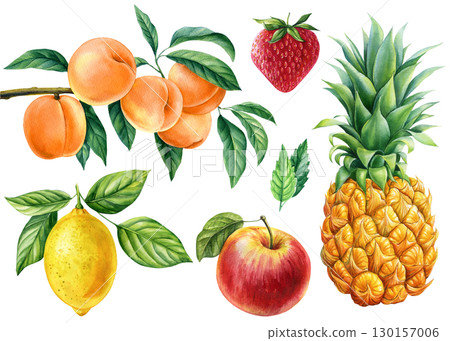 Fruits set, lemon, apple, strawberry, pineapple and peach on white background. Watercolor hand drawn illustration Fruits set, lemon, apple, strawberry, pineapple and peach on white background. Watercolor hand drawn illustration 130157006