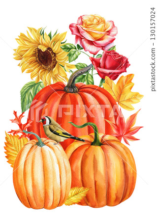 Autumn pumpkins, flowers and bird painted watercolor isolated on white background. Autumn pumpkins, flowers and bird painted watercolor isolated on white background. 130157024