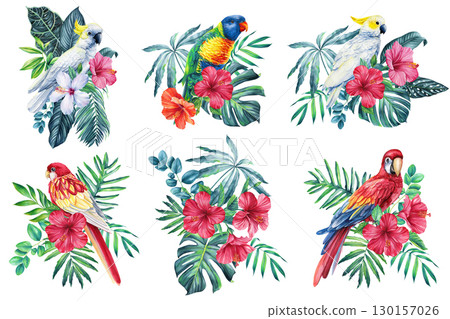 Collection Birds, tropical bird. Parrot, flowers and leaf in isolated background. Watercolor illustration hand drawing Collection Birds, tropical bird. Parrot, flowers and leaf in isolated background. Watercolor illustration hand drawing 130157026