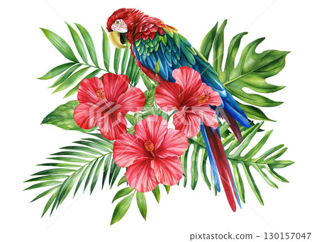 Beautiful bird. Macaw red parrot, flowers and leaf in isolated background. Watercolor illustration, tropical poster Beautiful bird. Macaw red parrot, flowers and leaf in isolated background. Watercolor illustration, tropical poster 130157047